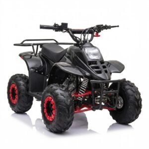 FANGPOWER ATV 110